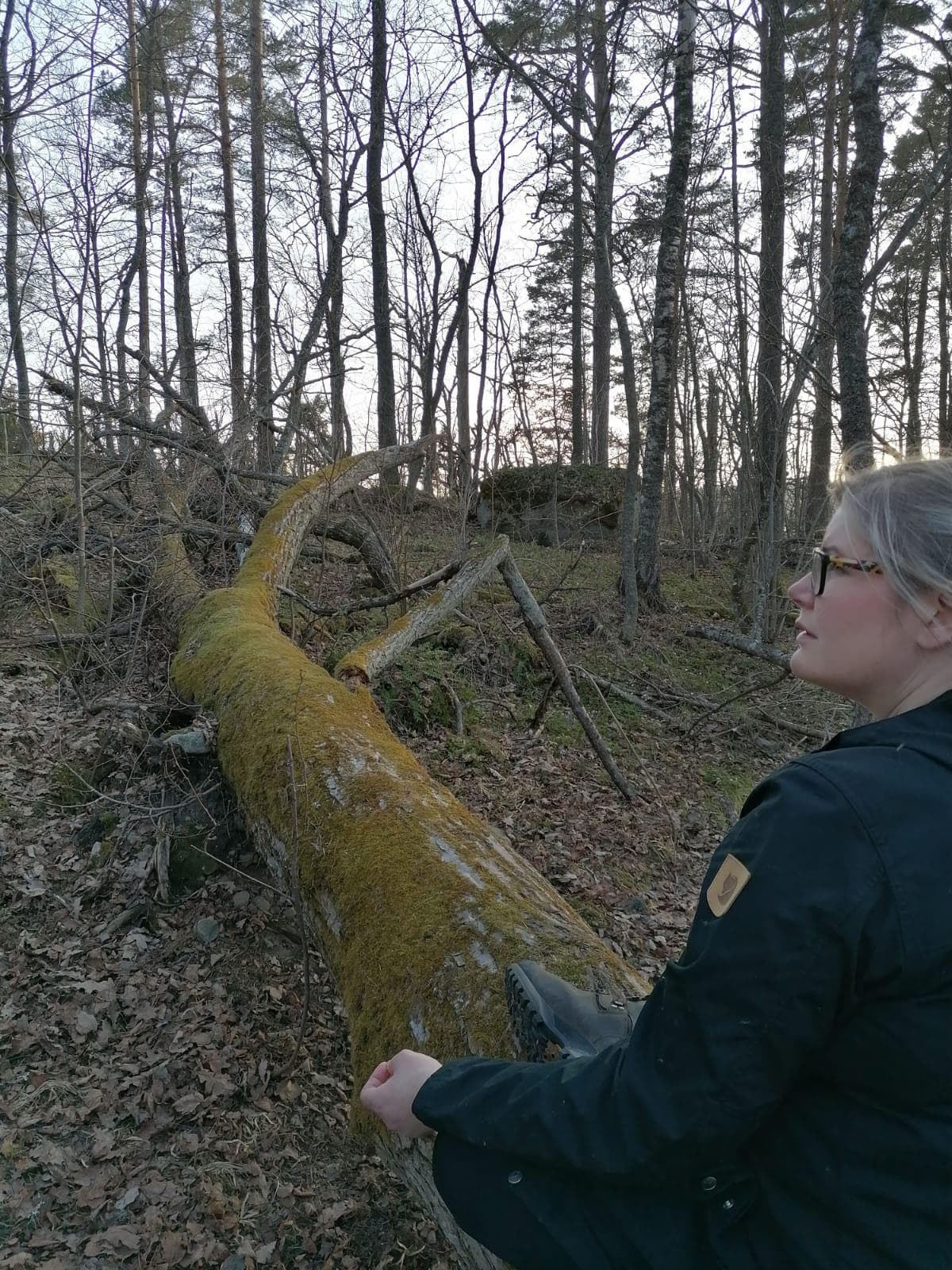 Mikaela metsässä sammaleisen kaatuneen puunrungon äärellä